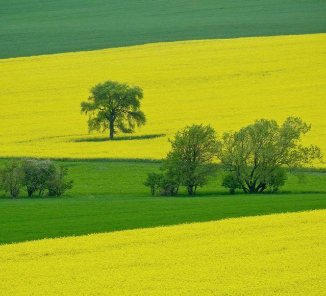 Settore_macchine_agricole_2.2_640x580.jpg